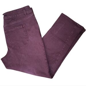 Lane Bryant Purple Denim Jeans